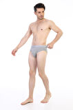 Erkek Ribana Klasik Gri Slip 870