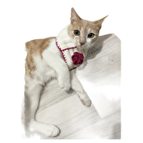 El Örgüsü Kedi Boyunluk Aksesuarı