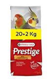 Big Parakeets Paraket Yemi 22 kg