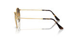 RayBan 3447 001/G5 53-21-145 Erkek Güneş Gözlüğü