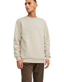 JACK JONES 12249341 - Bisiklet Yaka Erkek Sweatshirt