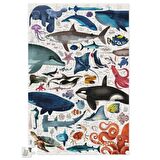Crocodile Creek 6+ Yaş Orta Boy Puzzle 150 Parça