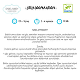 Djeco Kutu Oyunları / Little Coopération