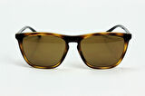 ARNETTE CORTEX 0AN4291 C277083Unisex Güneş Gözlüğü