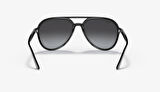 Ray-Ban RB4376 601/8G Unisex Güneş Gözlüğü