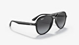 Ray-Ban RB4376 601/8G Unisex Güneş Gözlüğü