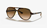 Ray-Ban RB 4125 CATS5000 710/51 Güneş Gözlüğü