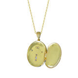 Anka Kuşu Gold Gümüş Kolye