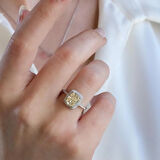 Sitrin Icecut Taşlı Gümüş Set