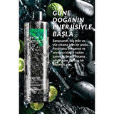 Avon Senses Natures Edge Yüz, Saç ve Vücut Şampuanı 500ml