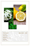 And You BEFORE 136 Edp 50ml Erkek Parfüm