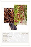 And You AFTER 149 Edp 50ml Kadın Parfüm