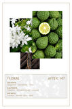 And You AFTER 147 Edp 50ml Kadın Parfüm