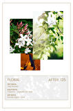 And You AFTER 125 Edp 50ml Kadın Parfüm
