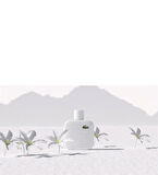 Lacoste Eau De L.12.12 Blanc Pure Edt 100Ml Erkek Parfüm