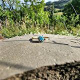 925 Ayar Gümüş Yüzük-0,20 Ct,0,24Ct Firuze (Turkuaz ) Taşlı Gül Evlilik Teklifi Yüzügü-Hediye 925 Ayar Tektaş Yüzük