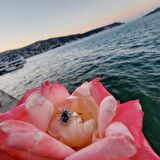 1,05CTAleksandrit 0.30CT Pırlanta(Signty)Taşlı Anturajlı Vintage Tasarım Modern 14 Ayar Altın Yüzük