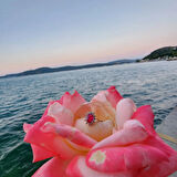 1,05 CT Yakut 0,30 CT Pırlanta (Signty) Taşlı Anturajlı Vintage Tasarım Modern 925 Ayar Gümüş Yüzük