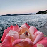 1,05 CT Yakut 0,30 CT Pırlanta (Signty) Taşlı Anturajlı Vintage Tasarım Modern 925 Ayar Gümüş Yüzük