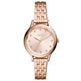 Fossil Q3862 FB Kadın Kol Saati