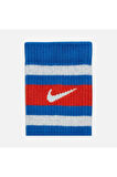 Dri-Fit Everyday Plus Cushioned Crew Retro Style Atlethic Training (3 Pairs) Unisex Çorap