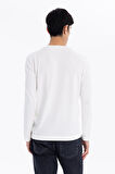 Bisiklet Yaka Slim Fit Basic Erkek Triko Kazak