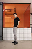 Polo Yaka Fermuarlı Slim Fit Triko Erkek Kazak