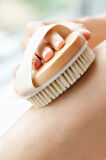 Organik Doğal At Kılı Selülit Fırçası Masaj Aleti Banyo Vucüt Fırça Peeling