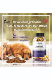 6 Adet Omega-3 Premium Fish Oil 90 Softgel X 1000mg, Balık Yağı, Hidrolize Kolajen