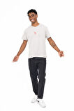 FLAMINGO T-SHIRT GREY