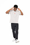 FLAMINGO T-SHIRT GREY