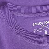 Jack&Jones Core Jcoaop Prınt Tee Ss Crew Neck Erkek T-Shirt 12253477