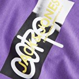 Jack&Jones Core Jcoaop Prınt Tee Ss Crew Neck Erkek T-Shirt 12253477