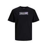 Jack&Jones Core Jcoaop Prınt Tee Ss Crew Neck Erkek T-Shirt 12253477