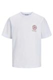 Jack&Jones Orıgınals Joreaster Actıvıty Tee Ss Crew Neck Erkek T-Shirt