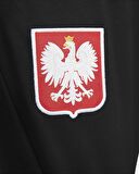 Nike DH6484-010 Poland Strike Dri-FIT Eşofman Altı