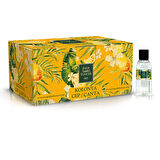 Klasik Limon Kolonyası 50 ml - Pet Şişe 24 lu Kutu