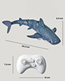 LC Uzaktan Kumandalı Köpek Balığı