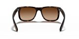 RAYBAN 4165 710/13 55 Erkek Güneş Gözlüğü