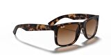 RAYBAN 4165 710/13 55 Erkek Güneş Gözlüğü