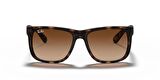 RAYBAN 4165 710/13 55 Erkek Güneş Gözlüğü