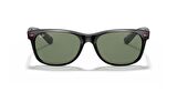 RAYBAN 2132M F60131 55 Erkek Güneş Gözlüğü
