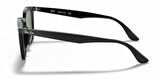 RAYBAN 4259 601/71 51 Unisex Güneş Gözlüğü