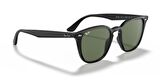 RAYBAN 4259 601/71 51 Unisex Güneş Gözlüğü