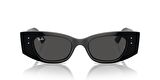 RAYBAN 4427 667787 49 Kadın Güneş Gözlüğü