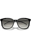 ARMANI EXCHANGE 0AX4151S 815811 55 Kadın Güneş Gözlüğü