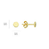 14 Ayar Minik Altın Küpe 0,57 gr