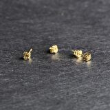 14 Ayar Altın Küp Küpe 1,05 gr