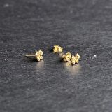 14 Ayar Altın Kelebek Küpe 0,98 gr