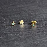 14 Ayar Renkli Yıldız Altın Küpe 0,70 gr